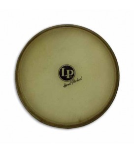 Head LP LP264D for Bongo Triple 5.5