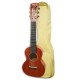 Foto do guitalele Gretsch G9126 com o saco