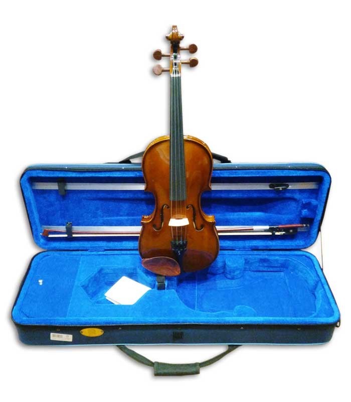 Photo of viola Stentor Student I 14" with case