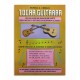 Book Eurico Cebolo Tocar Guitarra with CD T GUIT