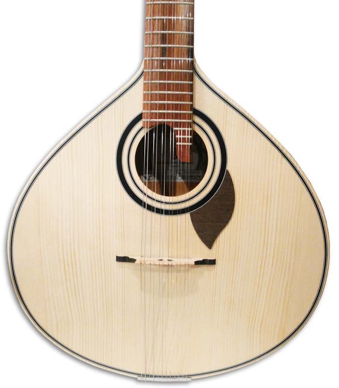 Body of portuguese guitar APC 305CB 