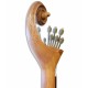Portuguese Guitar APC GFHPLS Spruce Mahogany Hand Painted
