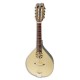 Photo of mandolin APC MDL310 model with rosette