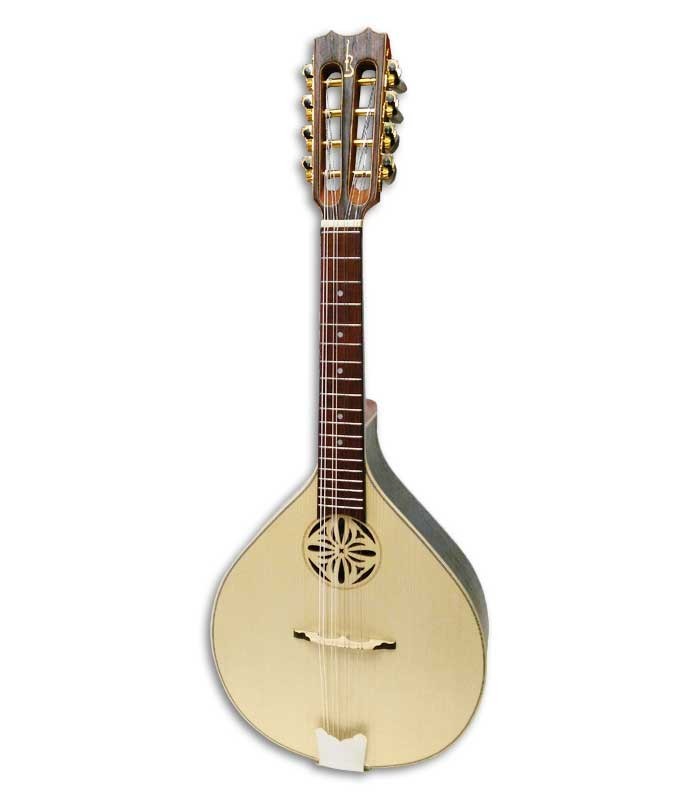 Photo of mandolin APC MDL310 model with rosette