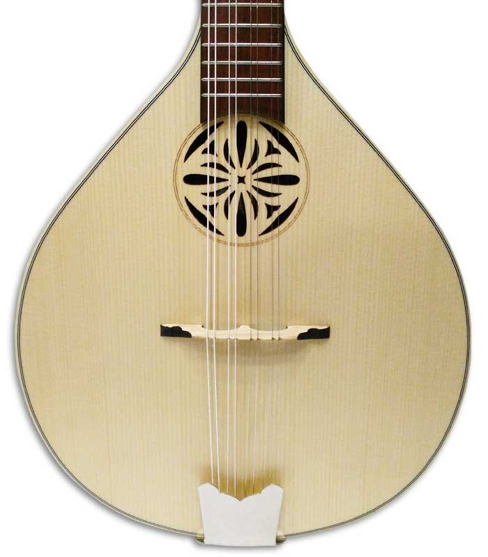 Body and rosette of mandolin APC MDL310 