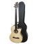 Acoustic Bass Artim炭sica 33133 Deluxe Special 4 Strings Fretless with Pickup and Hard Case