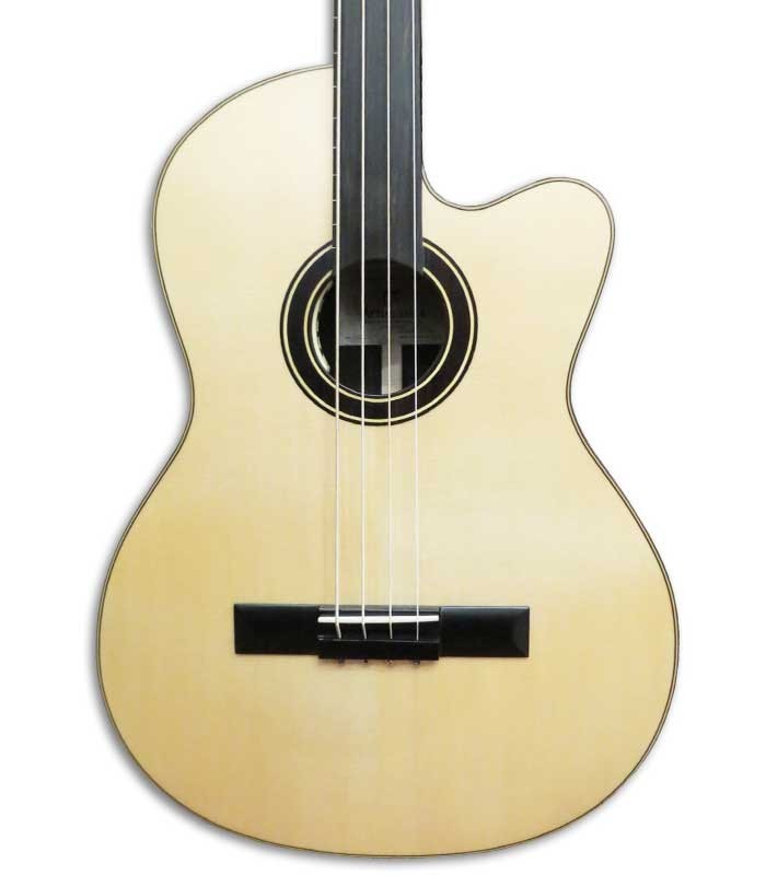 Acoustic Bass Guitar Deluxe Artimúsica 33133 body