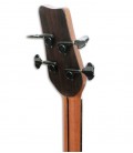 Acoustic Bass Guitar Deluxe Artimúsica 33133 instrument and case
