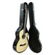 Acoustic Bass Guitar Deluxe Artimúsica 33133 instrument and case
