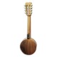 Back of banjo mandolin APC BJPT100