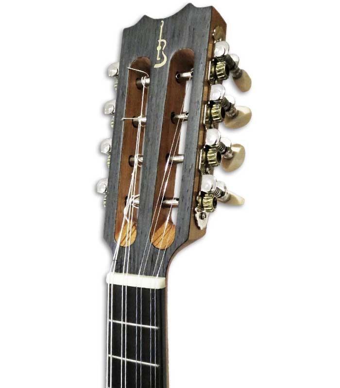 Head of banjo mandolin APC BJPT100