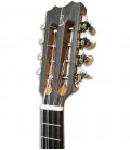 Head of banjo mandolin APC BJPT100