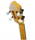 Clavijeros del cavaquinho APC 102 
