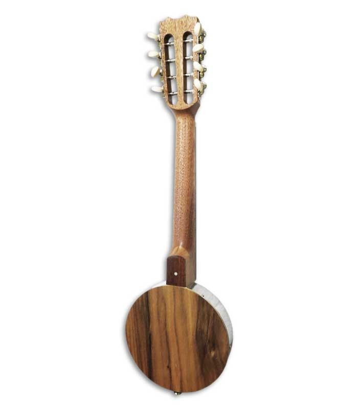 Fondo del banjo trompete APC BJPT100 