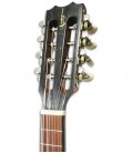 Head of banjo trompete APC BJPT100 