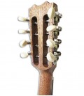 Tuning machines of banjo trompete APC BJPT100 