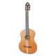 Foto da guitarra APC 10 Luthier Koa