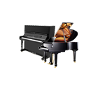 Acoustic pianos