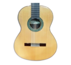 Flamenco guitars